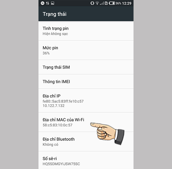 Thông tin máy